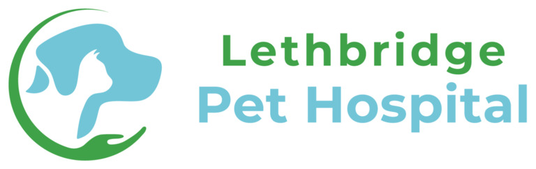Lethbridge Pet Hospital