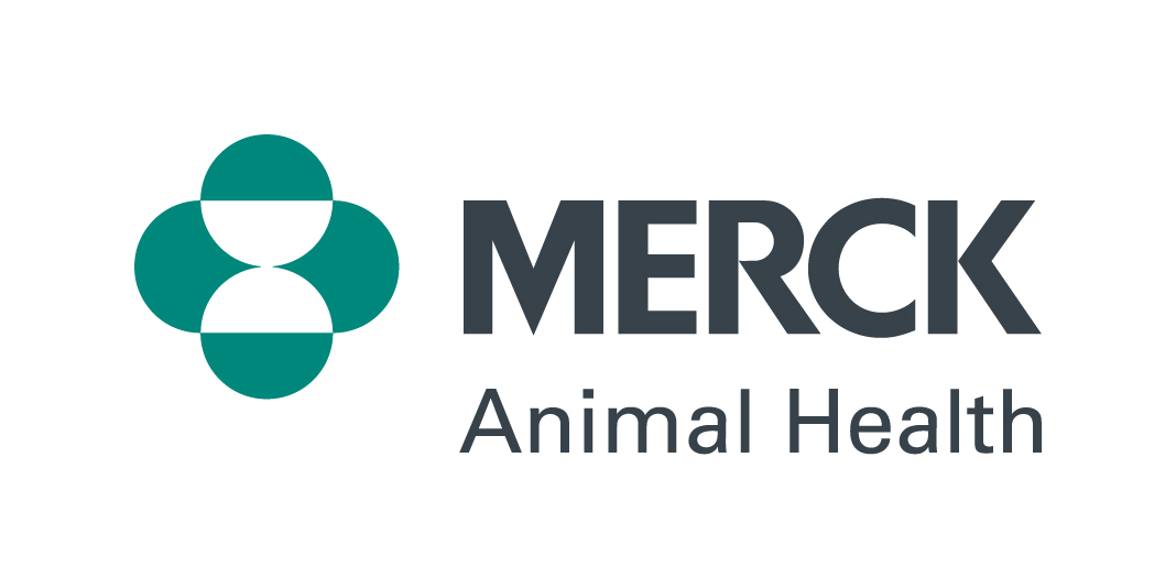 Merck 2020