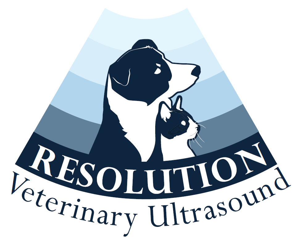 Resolution_Logo_2023