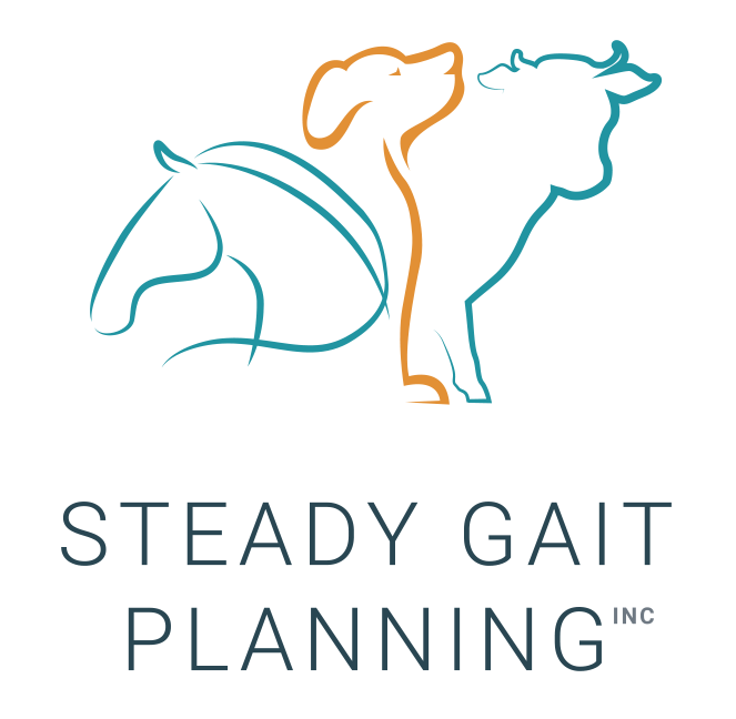 Steady Gait Planning Logo 2023 cropped